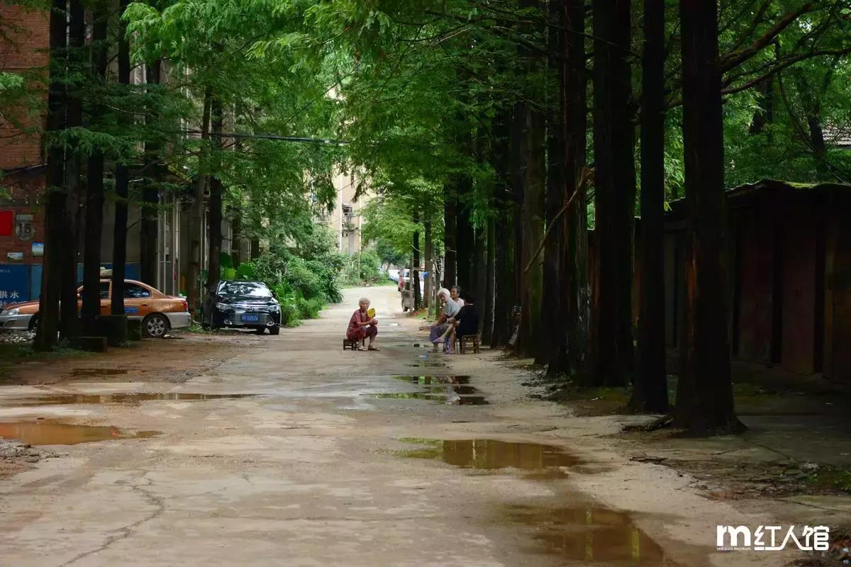 在湖南株洲的日常,在株洲生活是种什么体验
