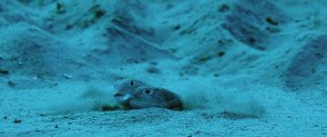 豆瓣9.7的冷门好片，送给每个热爱生命的人