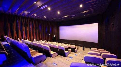 大学生假期无聊可以学点什么,大学生太无聊了怎么打发时间