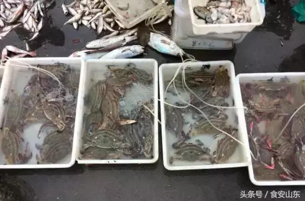 9月1号开海海鲜能便宜吗,9.1开海海鲜掉价吗