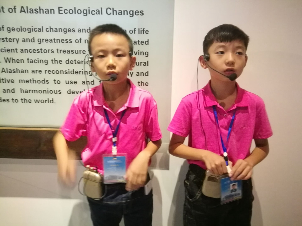 西安到阿拉善左旗自驾游攻略,西安到阿拉善三日游