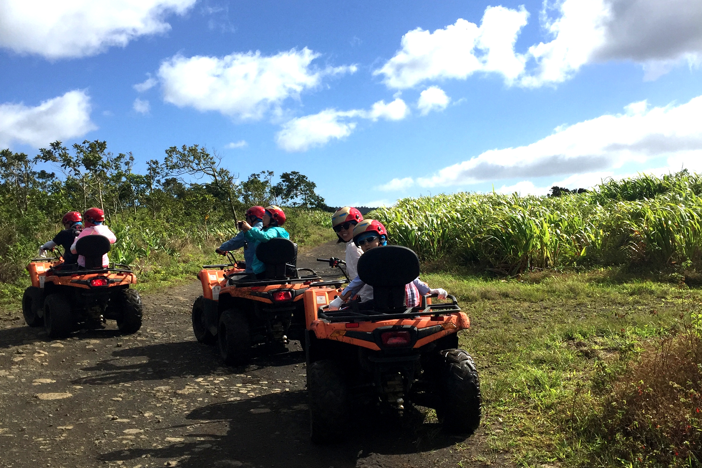 阳光沙滩空气温度24度,毛里求斯海豚游玩攻略