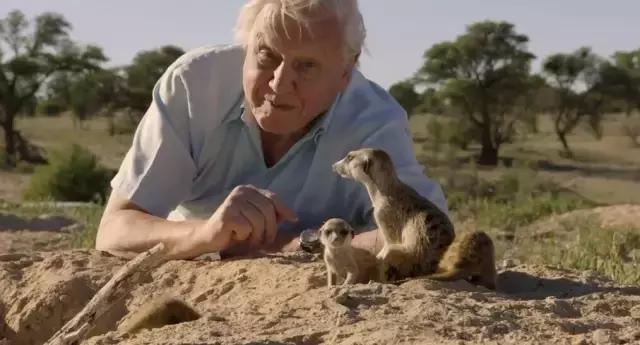 豆瓣9.7的冷门好片，送给每个热爱生命的人