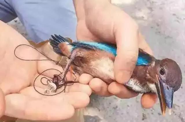 豆瓣9.7的冷门好片，送给每个热爱生命的人