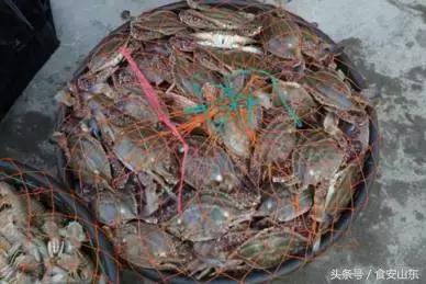 9月1号开海海鲜能便宜吗,9.1开海海鲜掉价吗