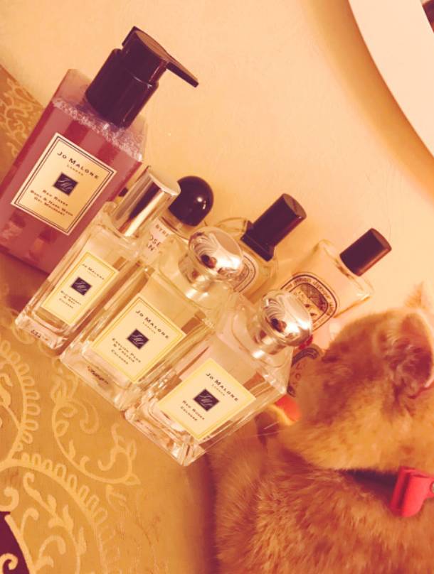 不贵又实用的七夕礼物送女朋友,七夕礼物推荐送女生大牌