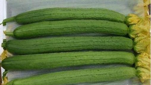 丝瓜中毒症状,丝瓜中毒