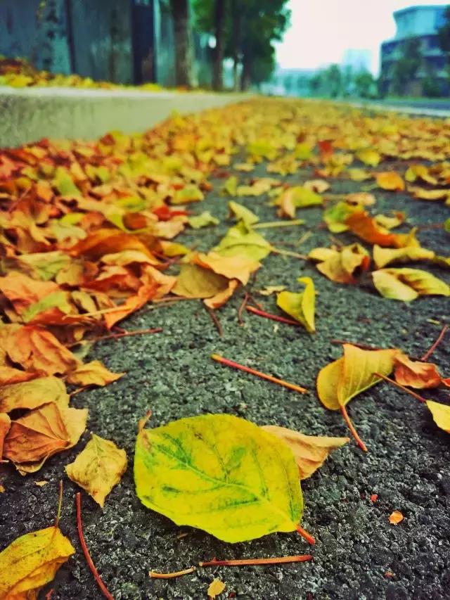 摄影背景模糊人物清晰,变焦模糊摄影教程