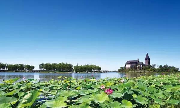 说走就走走遍全中国旅游,说走就走的旅行完整版