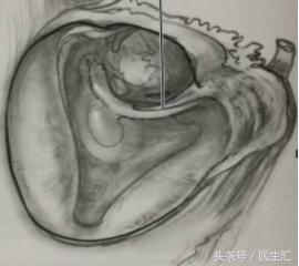 听力低频下降怎么恢复,低频听力下降耳鸣怎么治疗