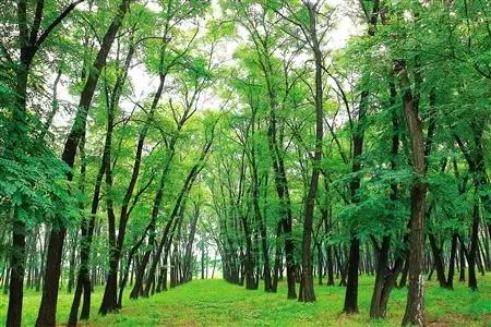 说走就走走遍全中国旅游,说走就走的旅行完整版