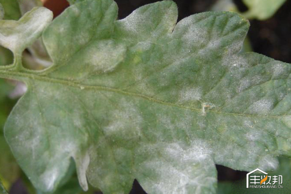 矿物油为什么效果好,矿物油一定不如全合成吗