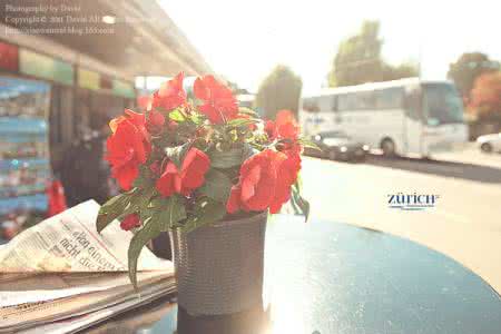 有关合肥市出租房政策,合肥公租房配租最新政策