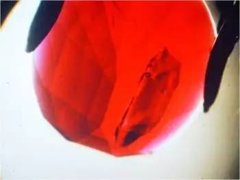 中国游客在柬埔寨被坑4.6万,竟买了充填红宝!