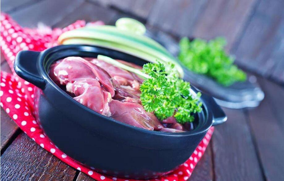 三个月泰迪可以吃什么食物,对泰迪有益的五种食物