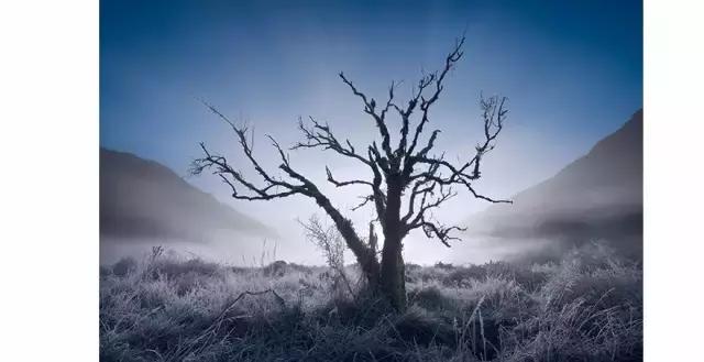 尼康d850到底有多厉害,尼康d850现在还值得入手吗