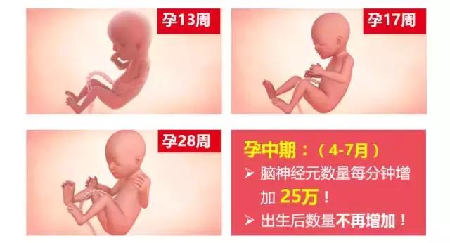 母婴店DHA怎么卖?看看这篇就够了