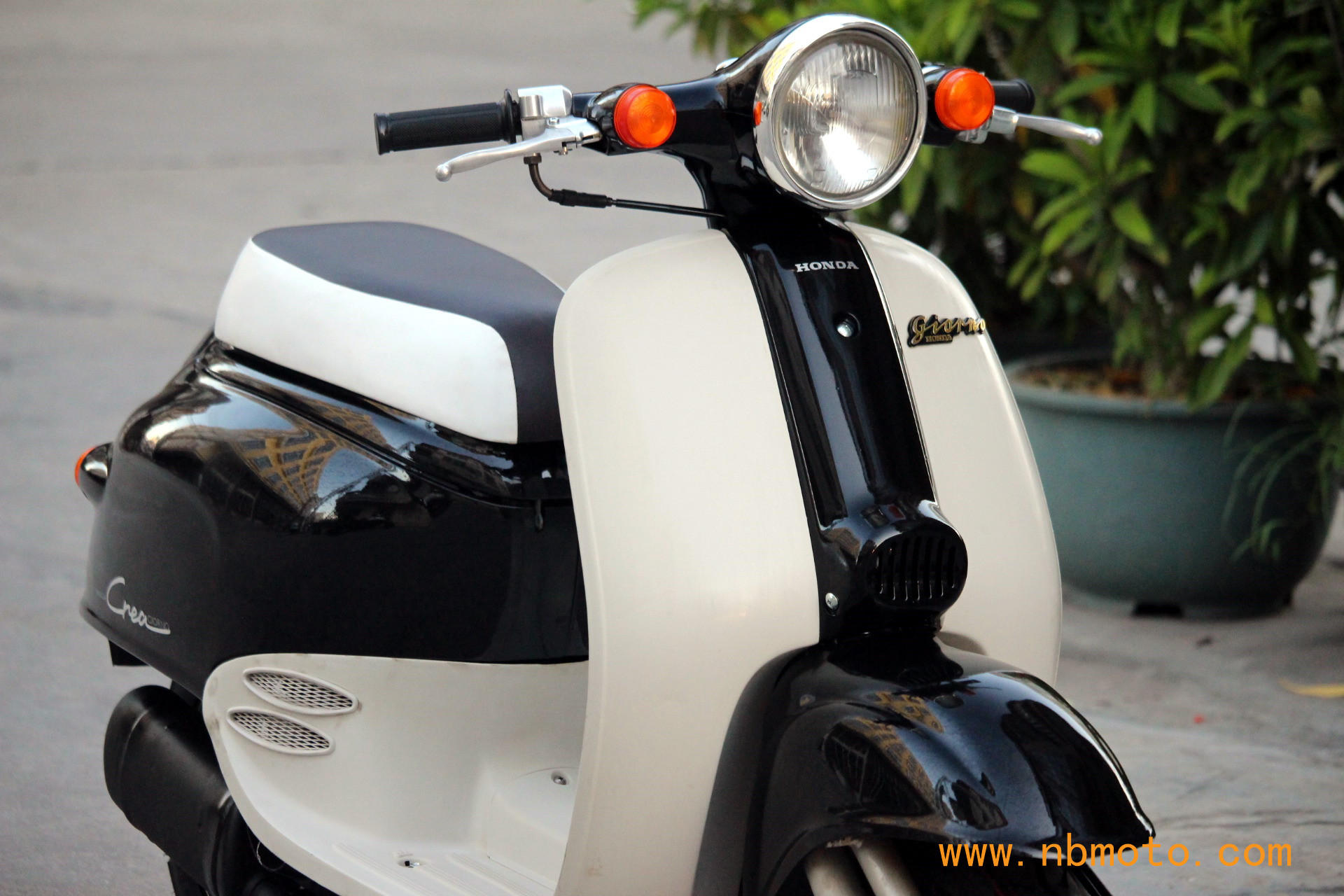 本田复古小龟,进口本田复古小龟50cc