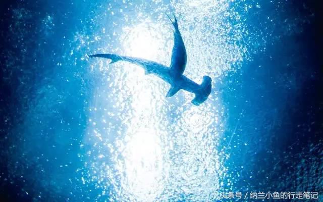 珠海长隆横琴湾酒店:这里不仅是吃货天堂,更让酒店控亮瞎眼!