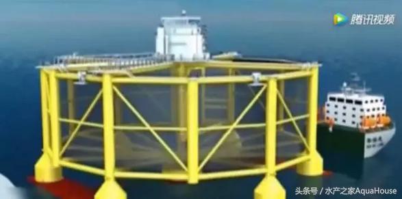 8月水产品价格表,7月水产品批发市场价格简报