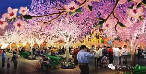 上海迪士尼私家车停车攻略,广州到上海迪士尼乐园攻略