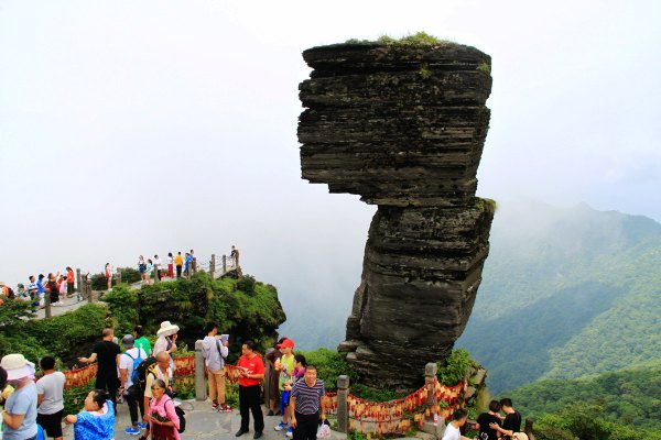 天天有人去山上采蘑菇,每天来观看的游客上万人