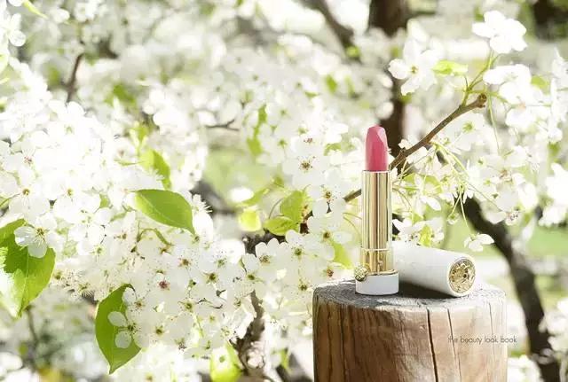 今年最热门的口红是哪几款,2016最火口红品牌