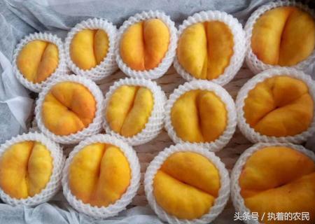 吃过油桃蜜桃,那农村人的这种桃子,你是否见过呢?