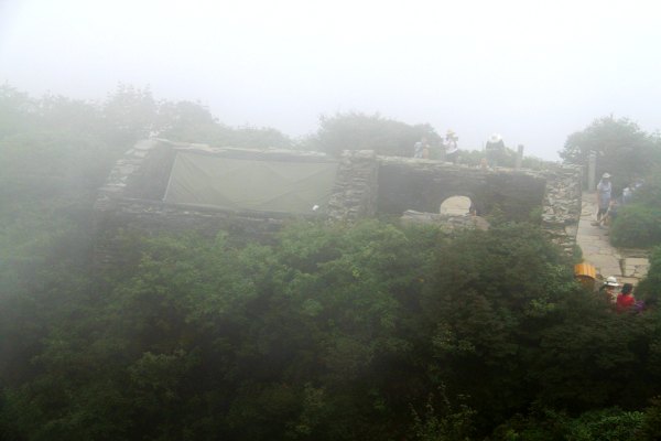 天天有人去山上采蘑菇,每天来观看的游客上万人