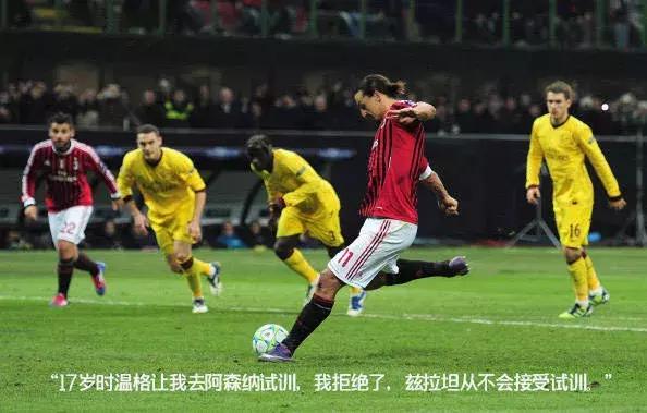 瓒冲潧閫肩帇,瓒崇悆閫肩帇涔嬬帇