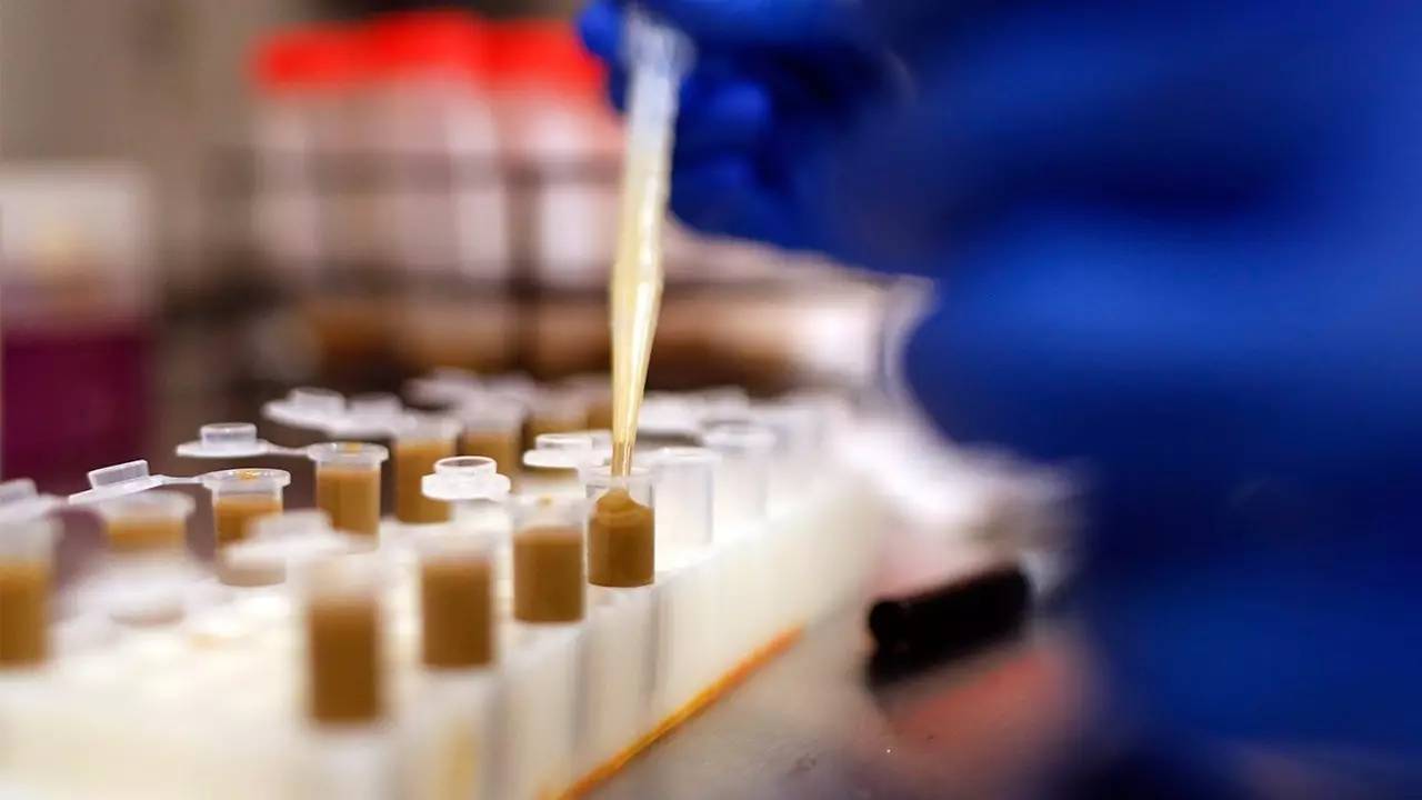 你狠心冲掉的便便,正成为许多肠胃病人的救星