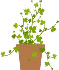 产后三到五天吃什么,产后五天怎么快速恢复