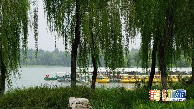 京城最大郊野公园，不仅免费，还藏了好多不为人知的秘密！