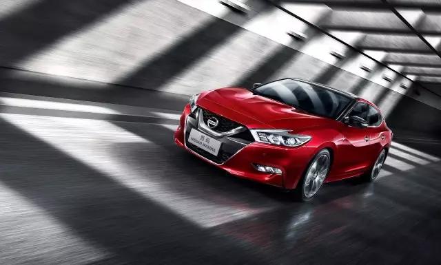 西玛是匹什么马,它跑的快吗?