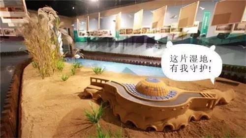 哎哟不错哦！杭州当下展览大集合，卖萌惊艳统统有！