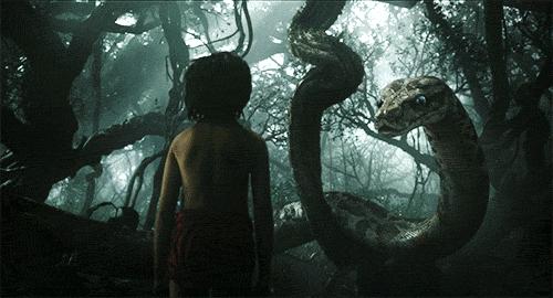 七叶一枝花背后的传说,七叶一枝花治癌症配方