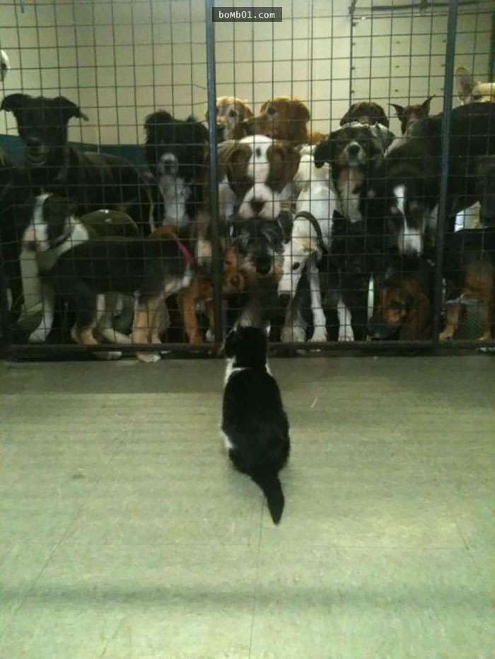 你说这椅子是你的？你叫它它会答应吗？