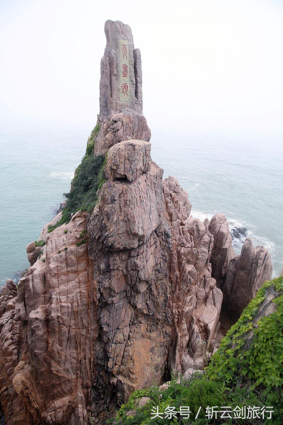 荣成烟墩角天鹅拍摄机位,世界最大天鹅