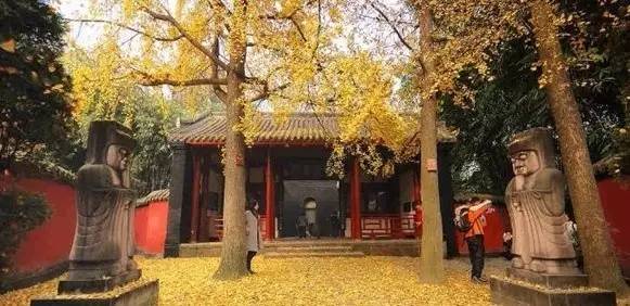 厉害了！这三首孩子的诗作，将成为发往全球的成都“邀请之诗”！