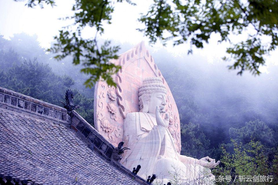 荣成烟墩角天鹅拍摄机位,世界最大天鹅