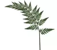 推荐几款实用又好用的面膜,一年四季都能用的9款面膜