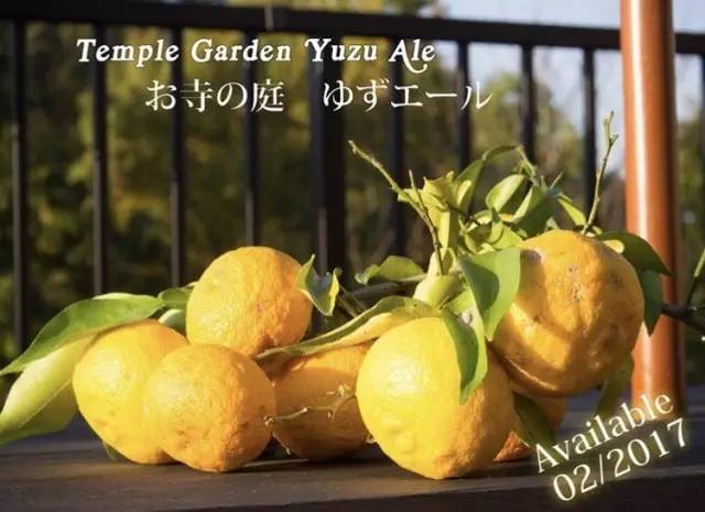 绮鹃吙鍟ら厭ins,ins绮鹃吙鍟ら厭