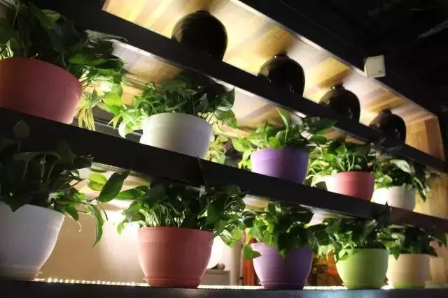 那些年的我们青年餐厅团购,那些年我们的青年餐厅