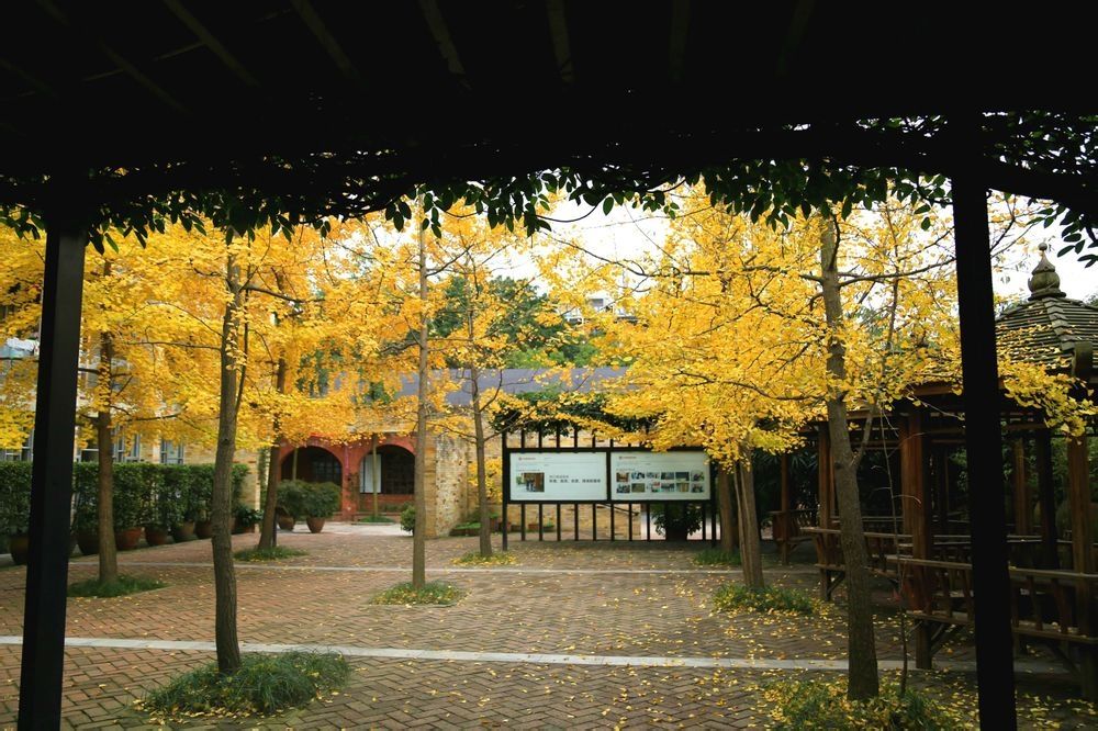 四川旅游学院4a风景区,四川国际标榜职业学院3a景区