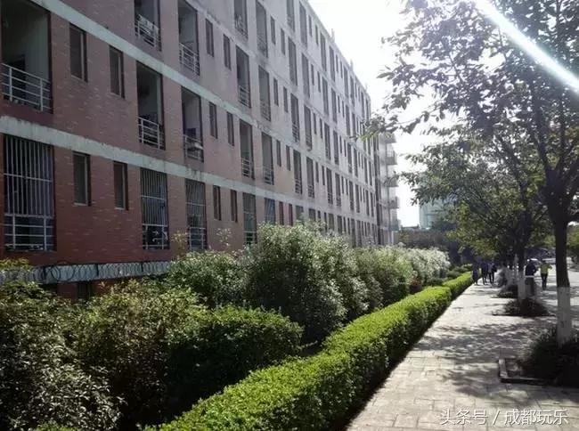 成都的大学宿舍排名,高校宿舍测评