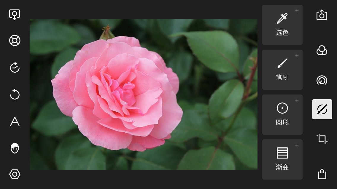 如何打造高级黑色背景直播间,1分钟学会打造高级灰效果