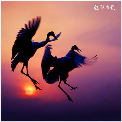 闲云野鹤曲子赏析,古曲闲云野鹤