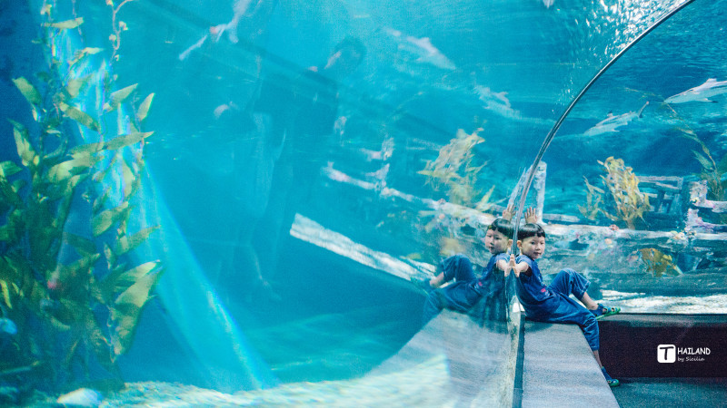 带你一起去泰国看海,回忆那年在泰国踏浪看海