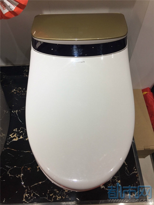 济南智能马桶批发费用,莱芜智能化马桶