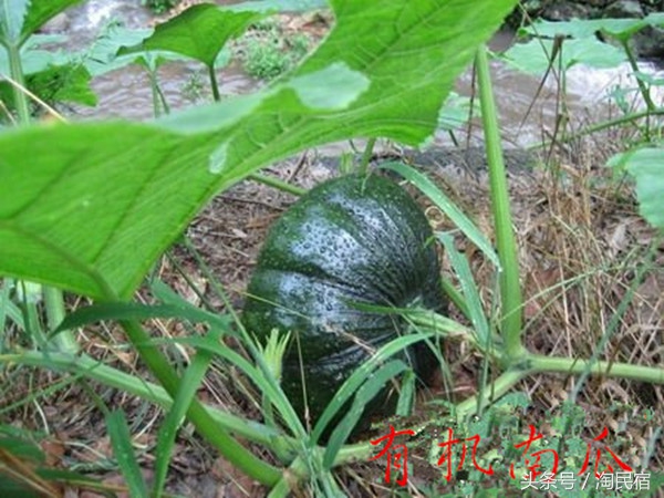 余杭区小众却很棒的地方,余杭安静学习的地方